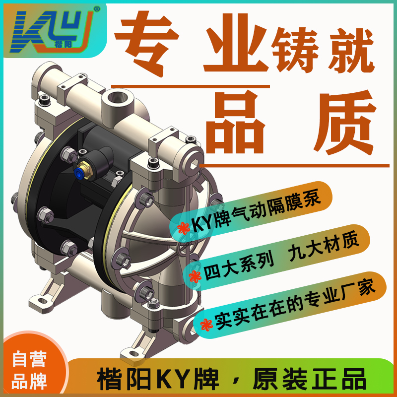 KY-15SF氟塑料氣動隔膜泵4