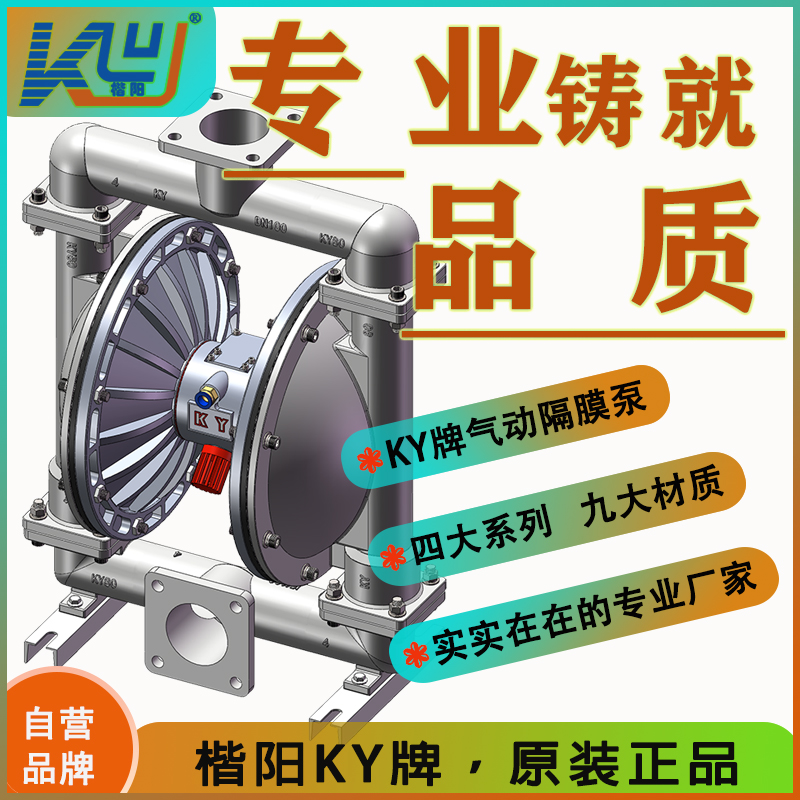 KYQ100L4不銹鋼氣動隔膜泵4