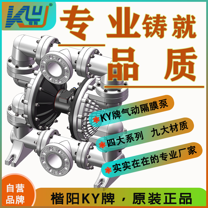 KYQ100LS塑料氣動隔膜泵2