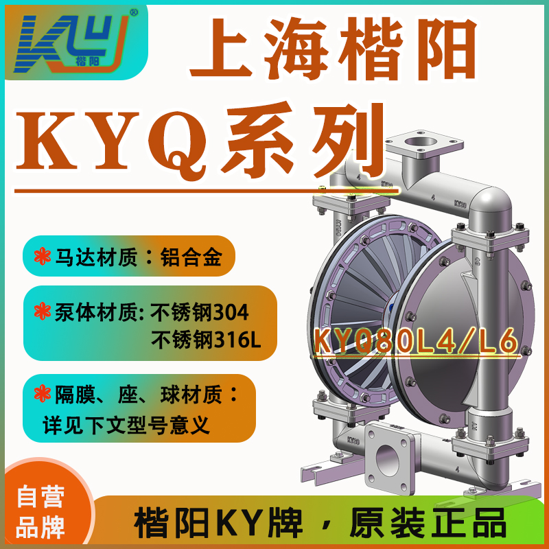 KYQ80L4不銹鋼氣動(dòng)隔膜泵2